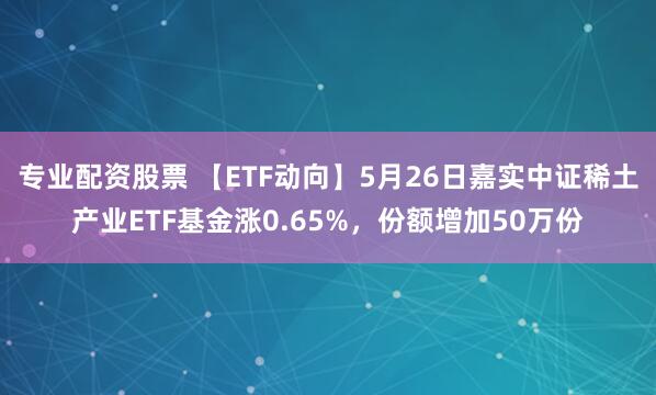 专业配资股票 【ETF动向】5月26日嘉实中证稀土产业ETF基金涨0.65%，份额增加50万份