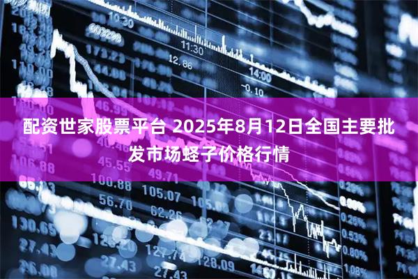配资世家股票平台 2025年8月12日全国主要批发市场蛏子价格行情