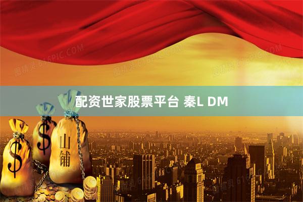 配资世家股票平台 秦L DM